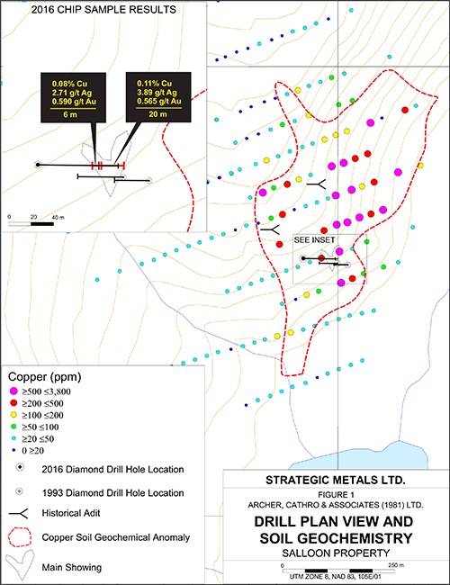 Salloon Newsrelease Figure 1