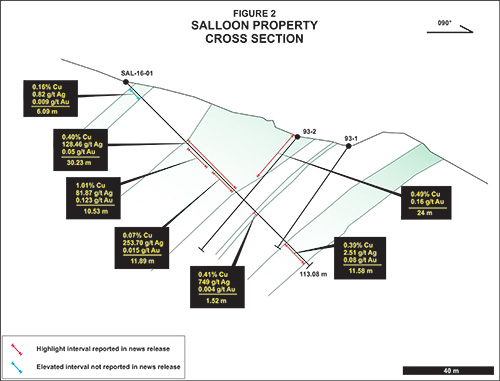 Salloon News Release Figure 2