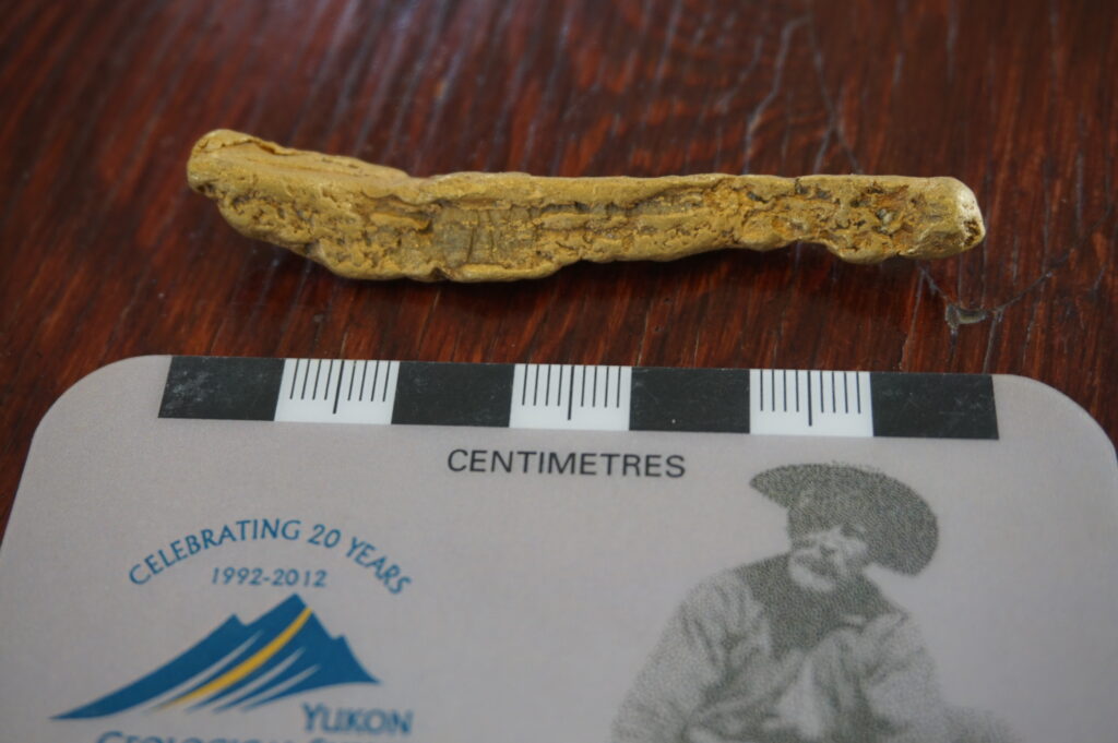 Granite Creek Gold Nugget