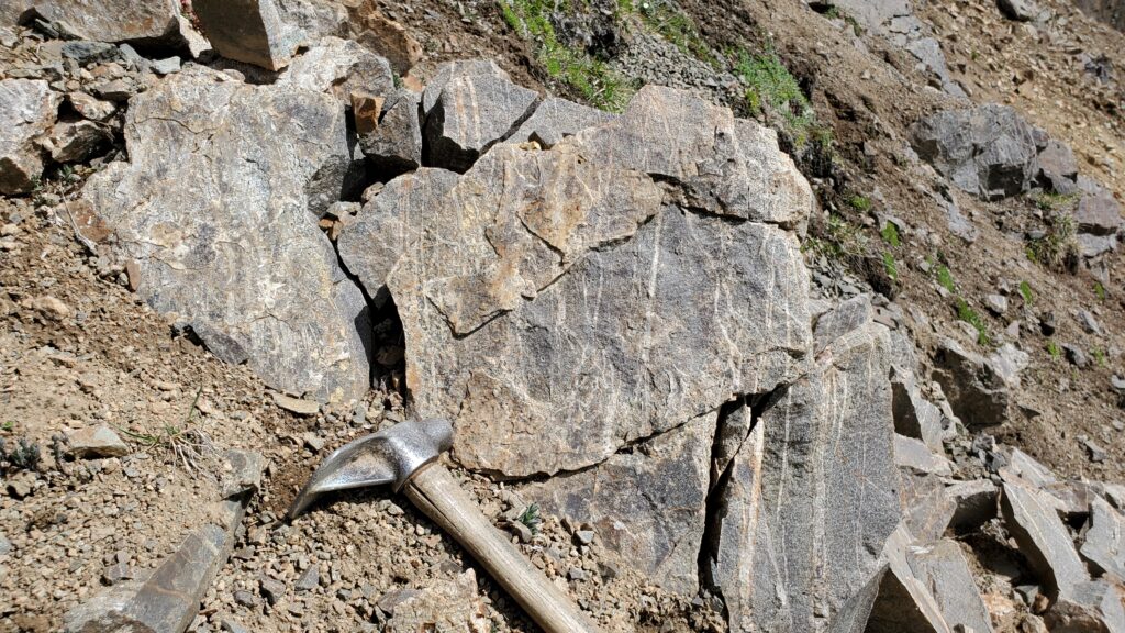 Sheeted Veins Developed In Basalt Minor Cpy Found In Veins